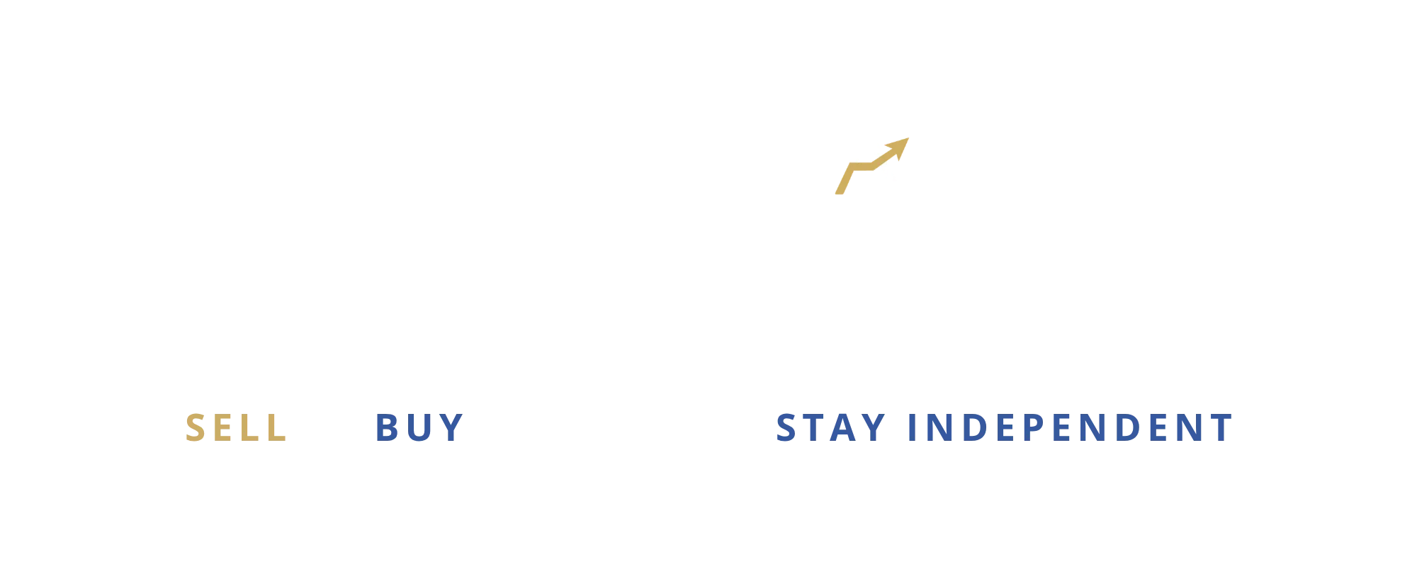 PILMMA MSO Bootcamp Logo